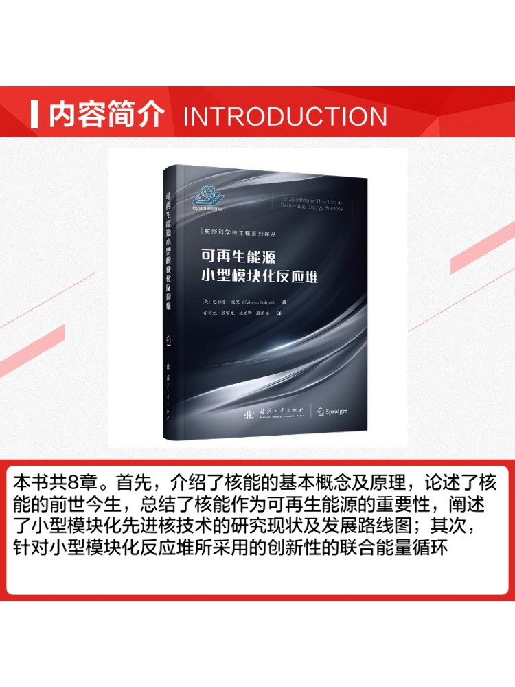 Book-Winshare Mały Reaktor Mod – Renewable Energy Book recenzja i cena