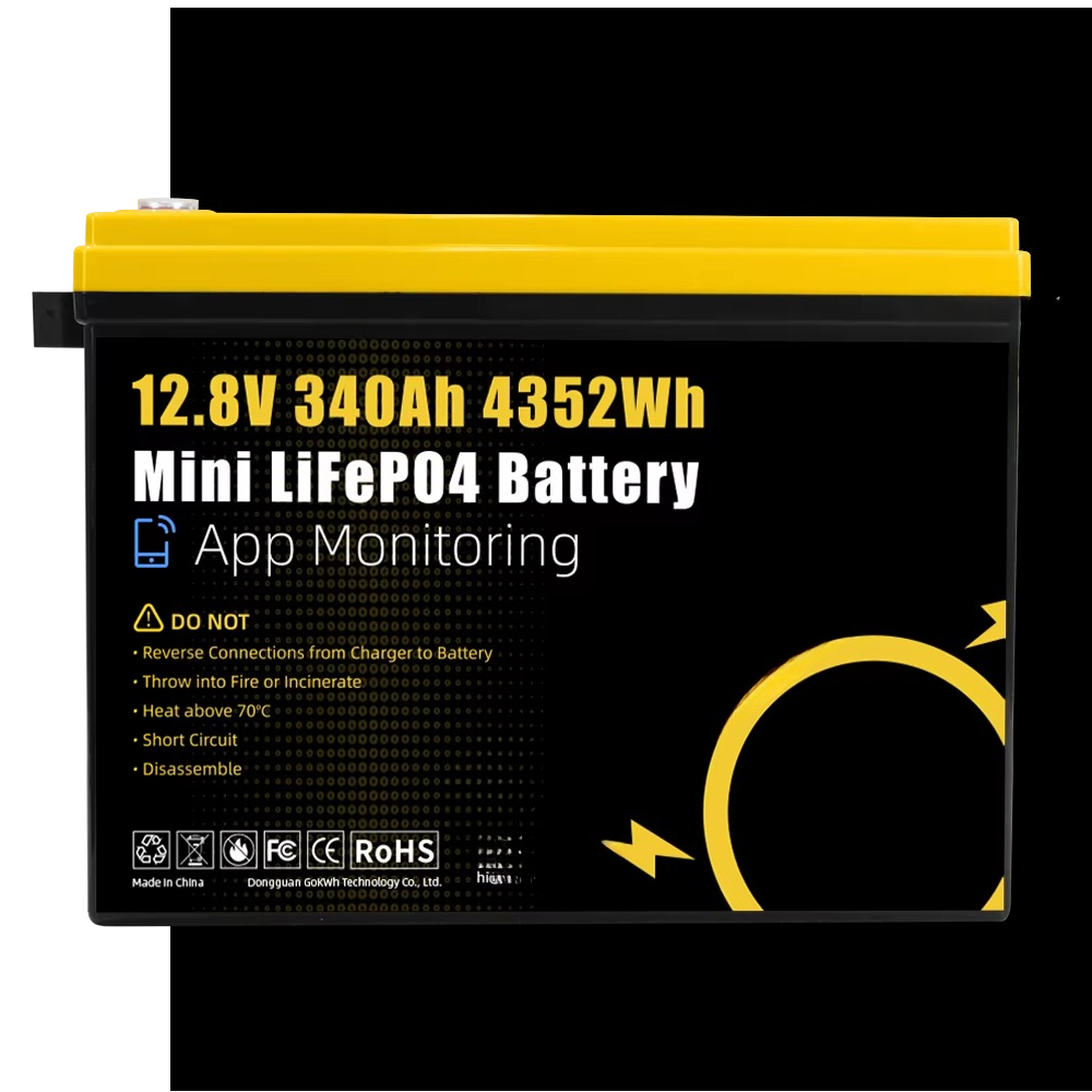 Akumulator litowo-żelazowo-fos – Lithium Battery 100Ah recenzja i cena