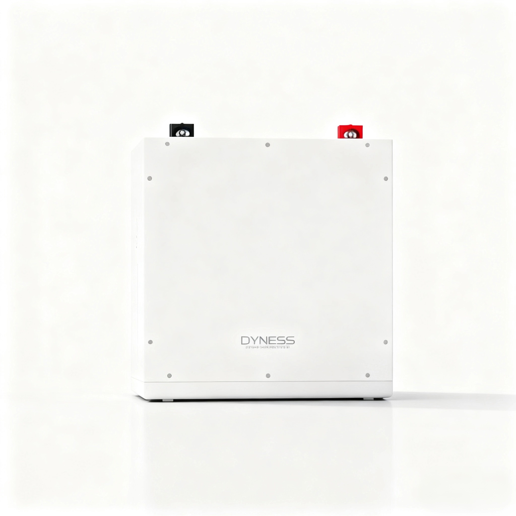 Akumulator litowo-jonowy Dynes – Lithium Battery 100Ah recenzja i cena