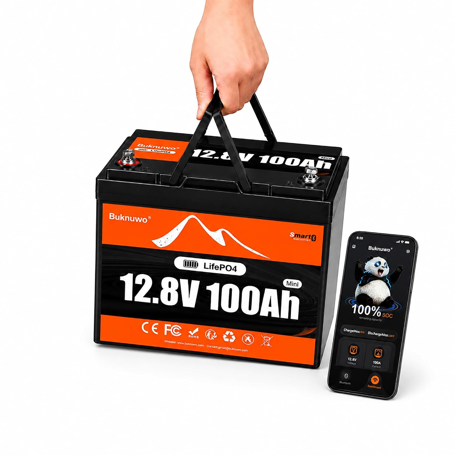 Akumulator LiFePO4 12V 100Ah d – Lithium Battery 100Ah recenzja i cena
